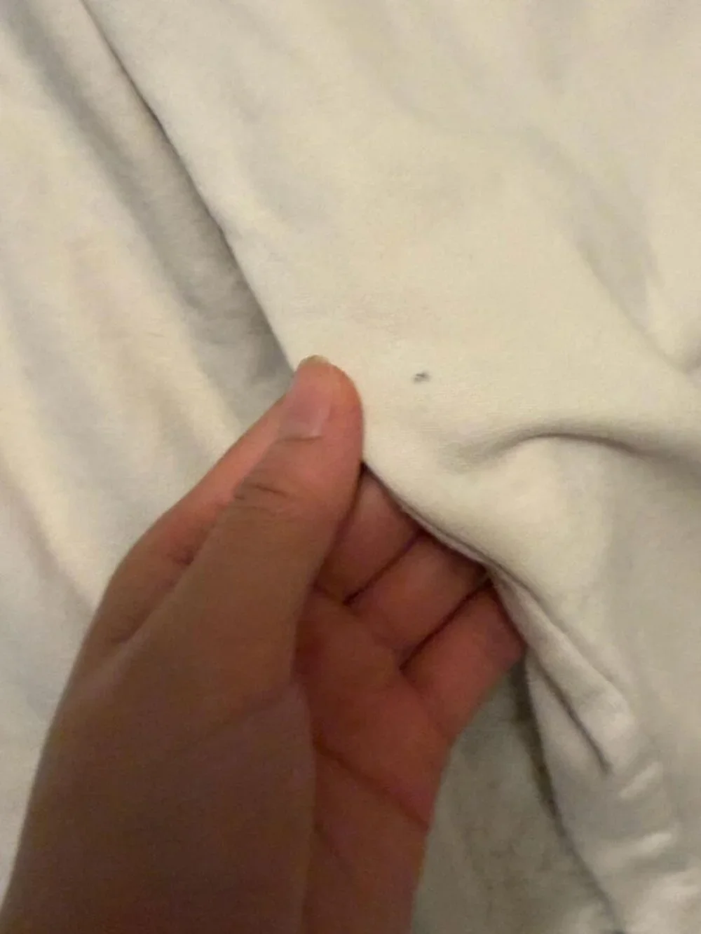 American Eagle Outfitters structure true discoloration